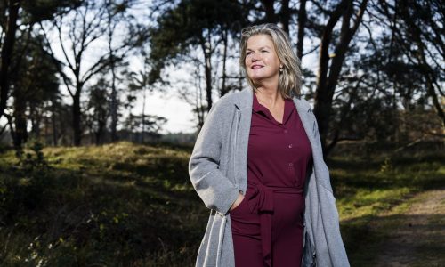 Het verhaal van Henny