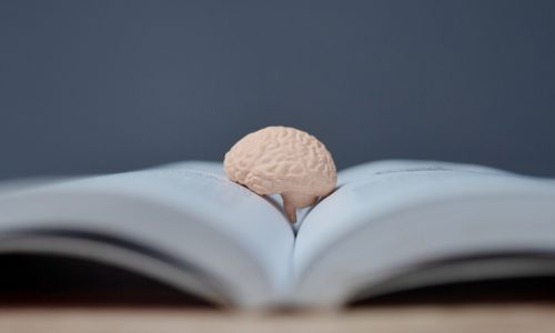 Lezen is goed voor je brein
