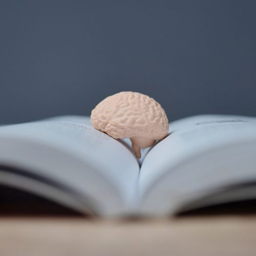 Lezen is goed voor je brein
